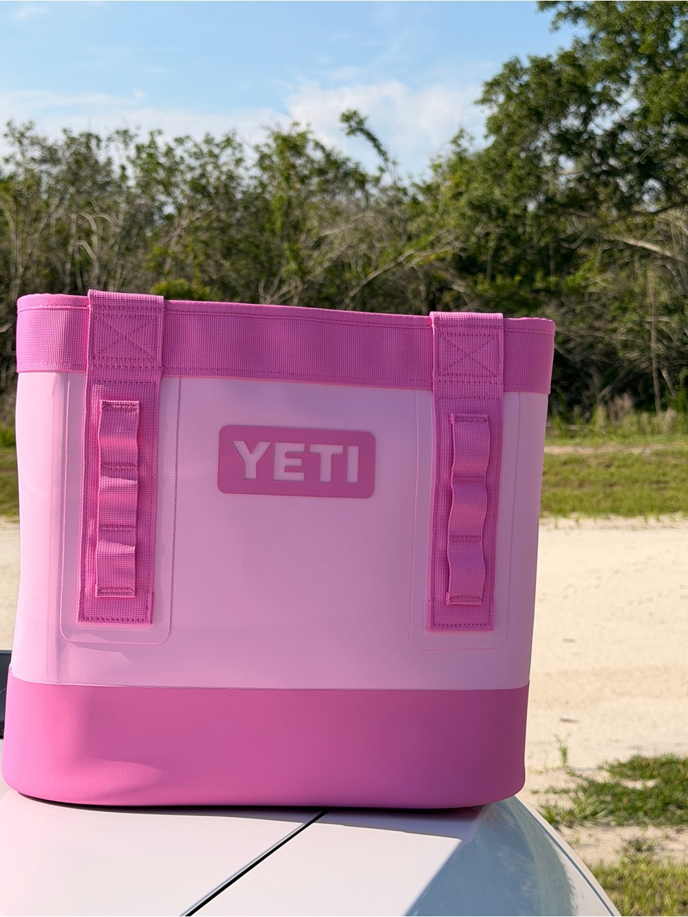 Yeti POWER PINK 20 Camino Carryall Tote Bag